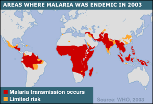 Zone dove la malaria  endemica