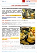 Pagina 11