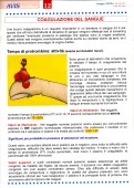 Pagina 12