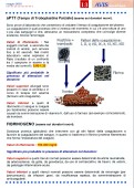 Pagina 13