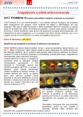 Pagina 14