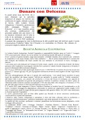 Pagina 17